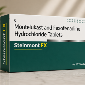 STEINMONT-FX